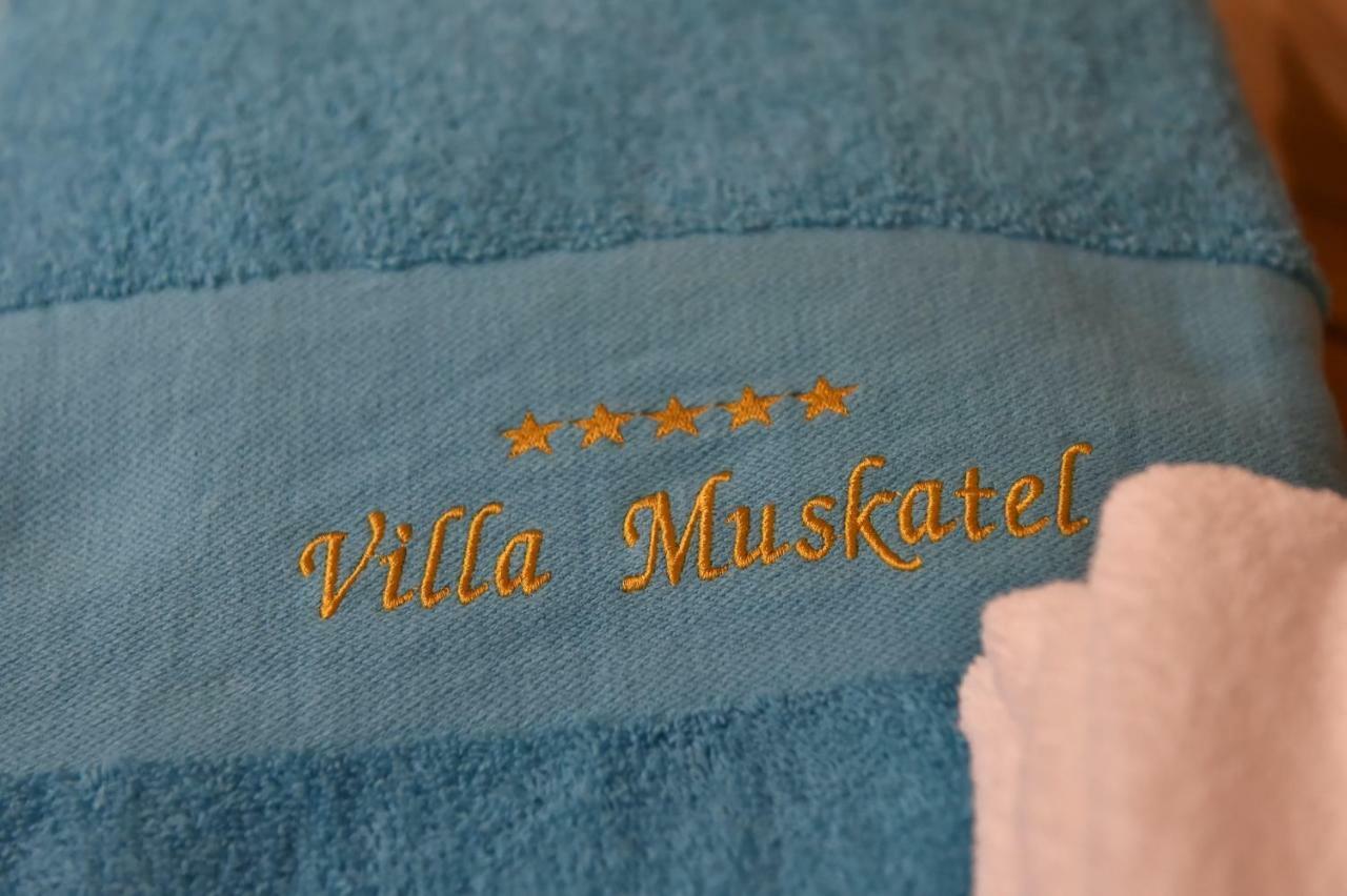Villa Muskatel -With Heated Pool Brzac エクステリア 写真